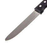 ISBW BB-14P SLSK116 Cuchillo Inoxidable para Carne con Sierra 5" (12.7 cm) Utensilios ISBW