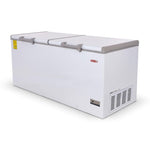 TORREY CHTC-255DR congelador horizontal de tapa solida CCCHS255021
